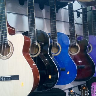 Masterwork Klasik Gitar Kılıf + Pena ve Bir Takım Tel Hediye