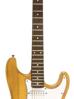 Jay Turser JT-300-SHG Elektro Gitar - KILIF HEDİYELİ